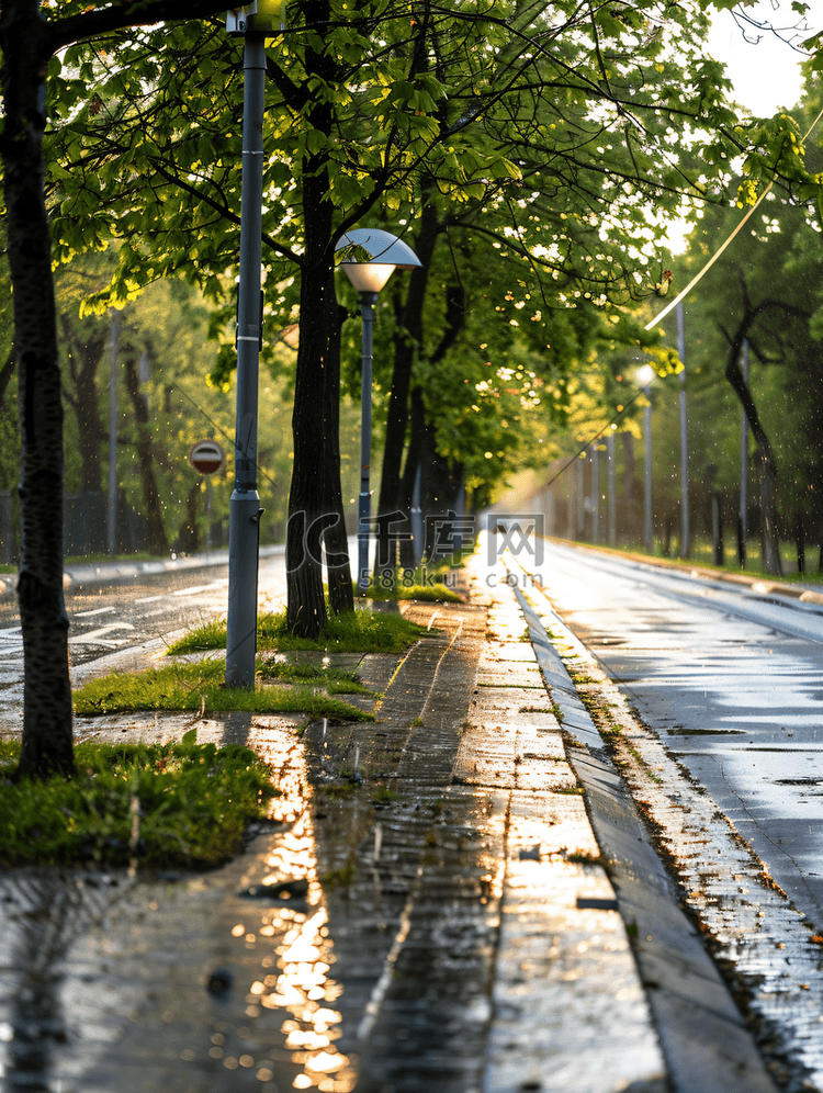 雨后街道上设有自行车道的人行道