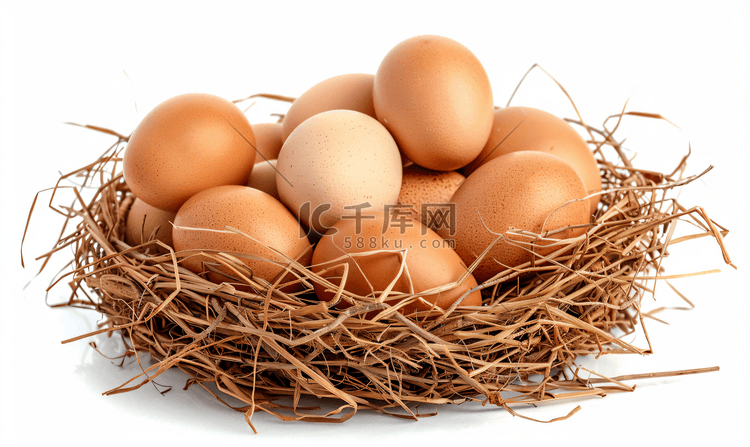 白色背景中孤立的巢中的棕色鸡蛋