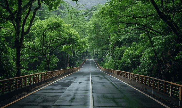 穿过森林地区的高架高速公路桥