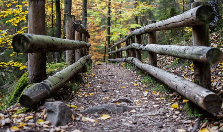 徒步小径上用木梁制成的围栏