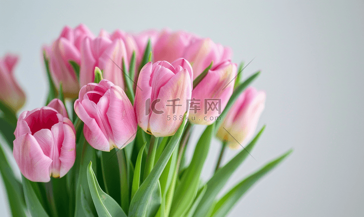 粉色郁金香花束