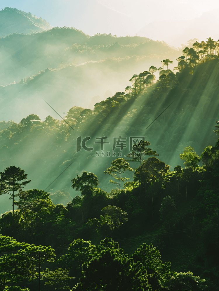 阳光下的山丘与森林剪影景观照片