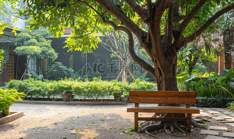 泰国曼谷花园一棵大树下的木凳