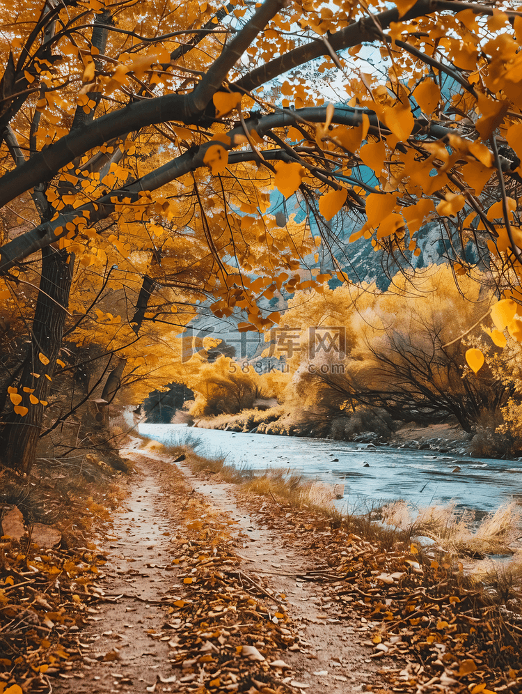 秋天河边的泥路