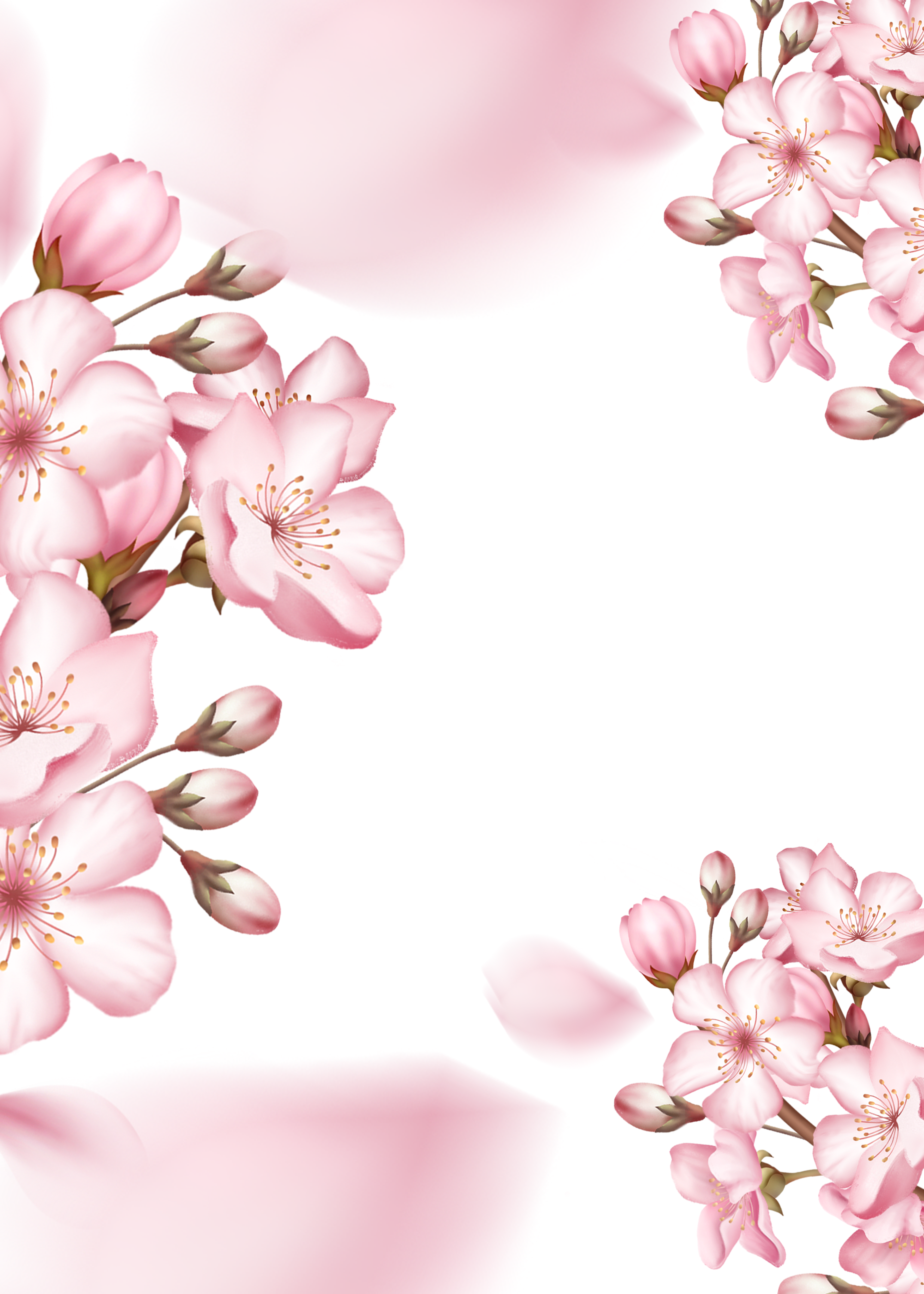 粉色花卉春季背景图片