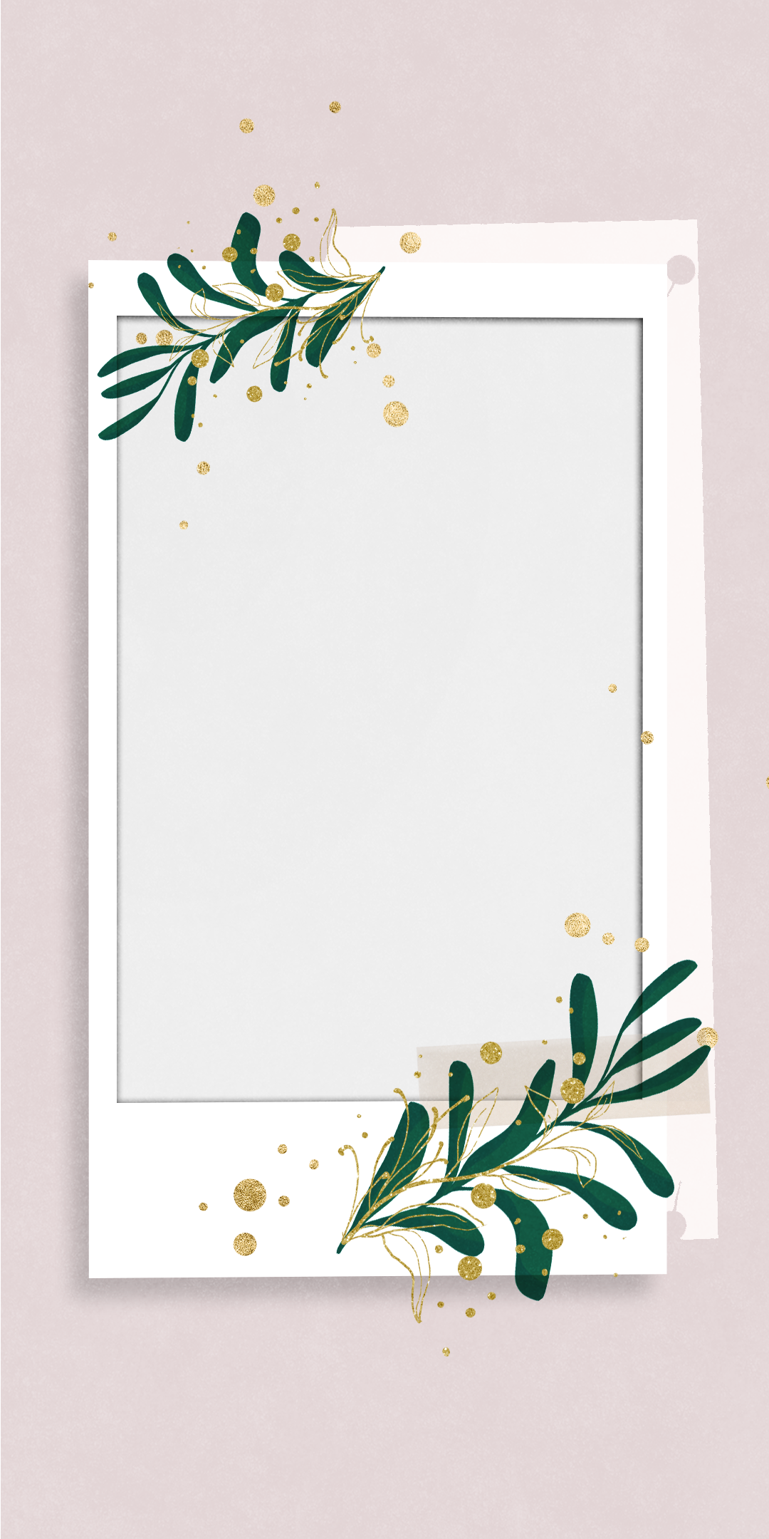 粉色淡雅宝丽来相纸金箔植物手机壁纸背景图片