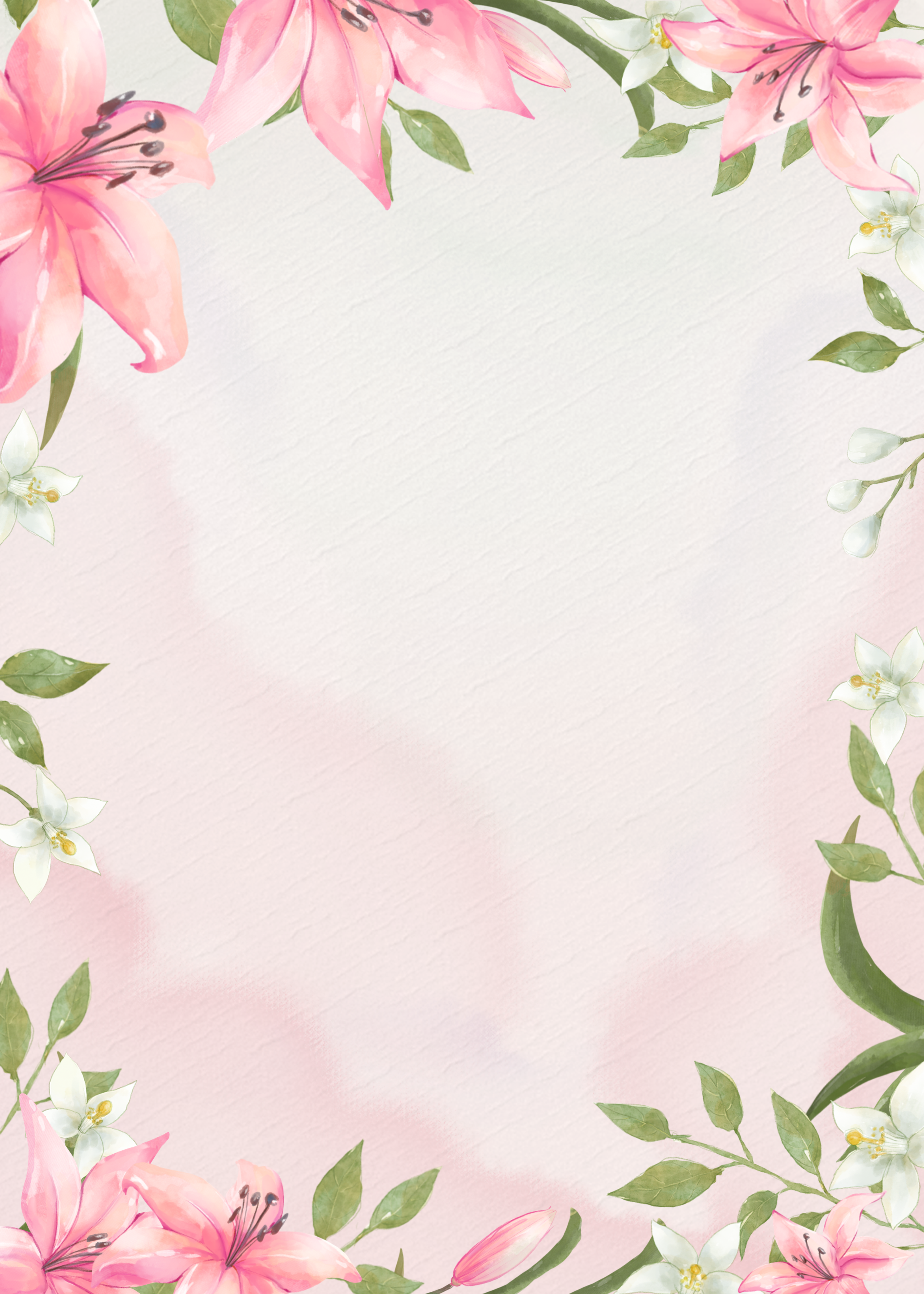 春季粉色百合花背景图片