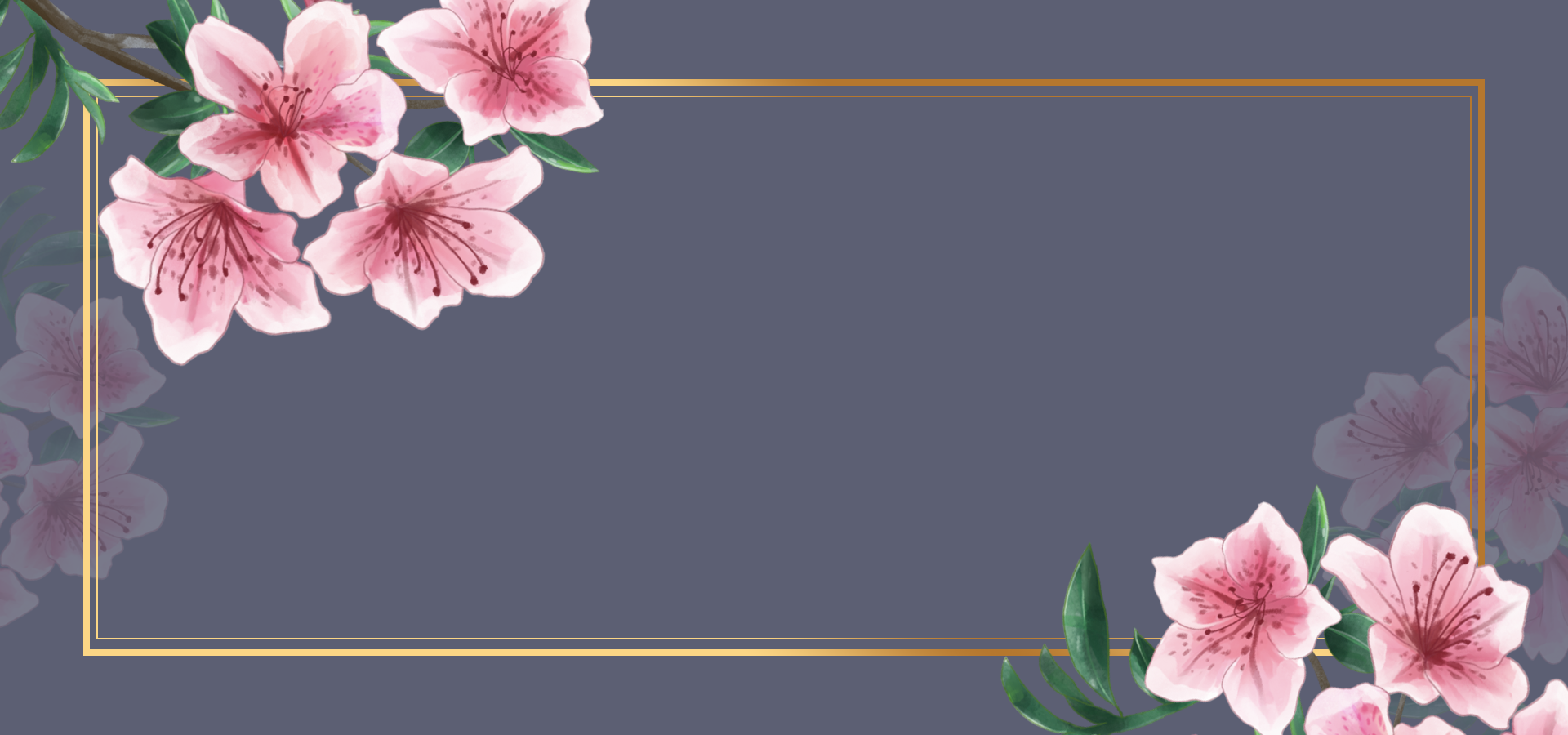 花卉粉白色花朵边框背景图片