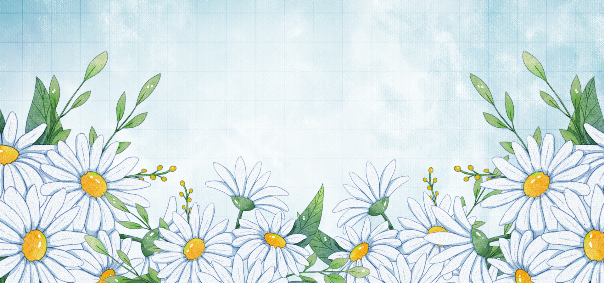 花卉白色花瓣水彩网格背景图片
