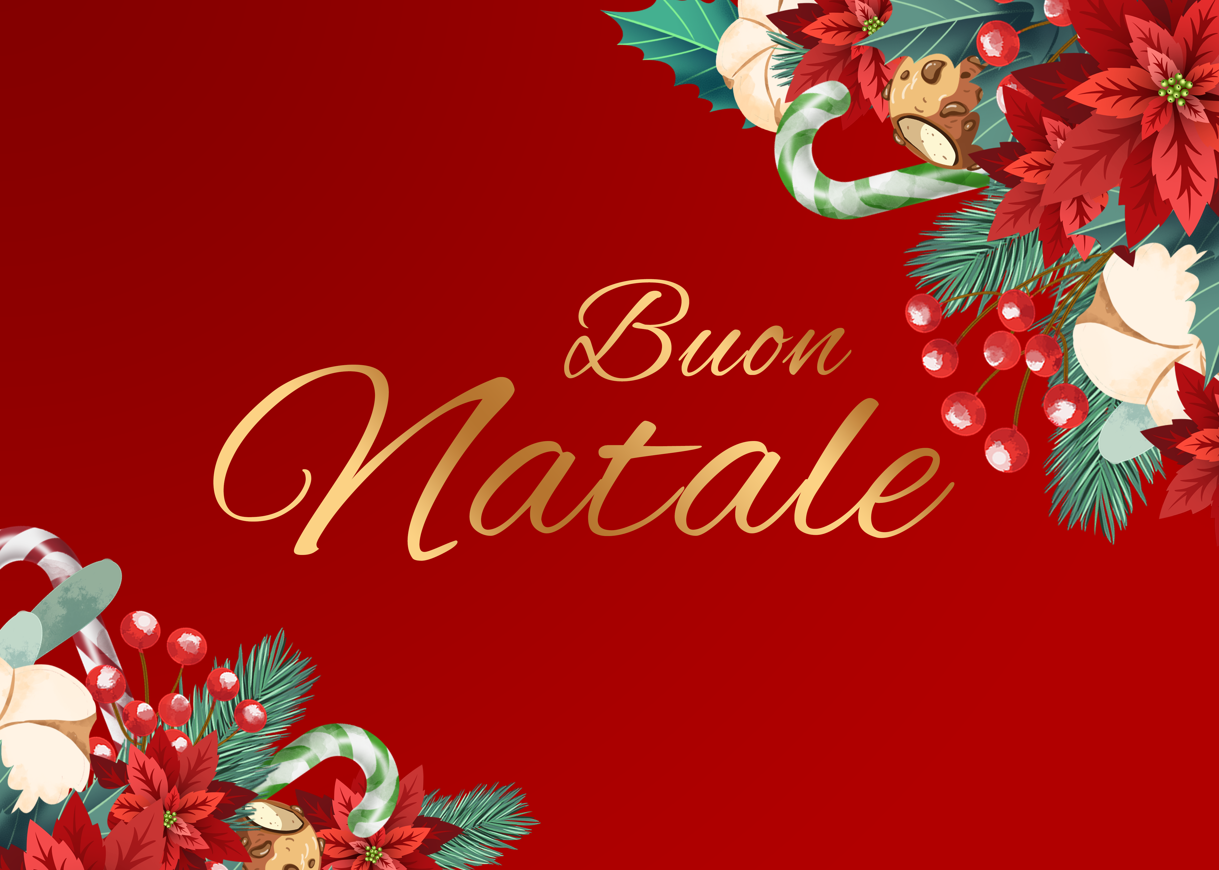 意大利圣诞节快乐树叶花朵红色背景图片