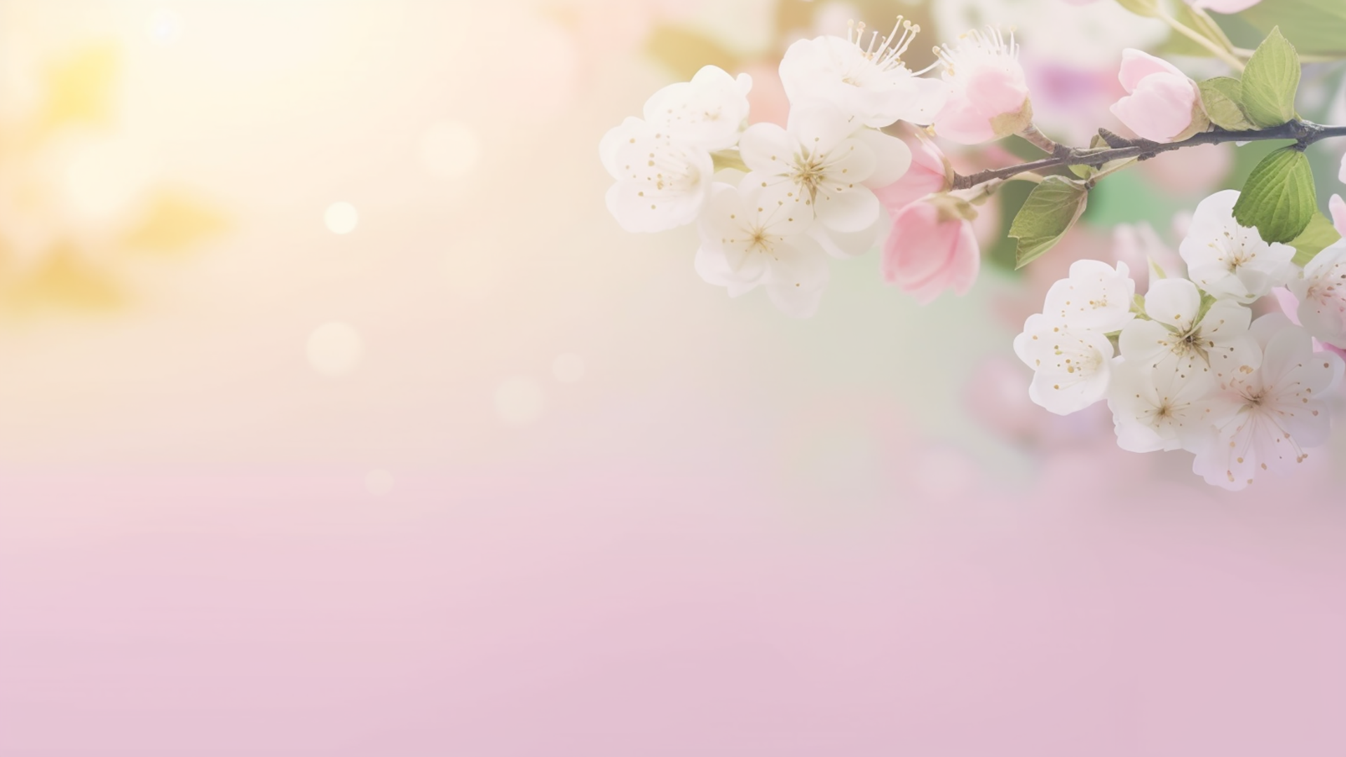 日光樱花之舞春季广告背景图片