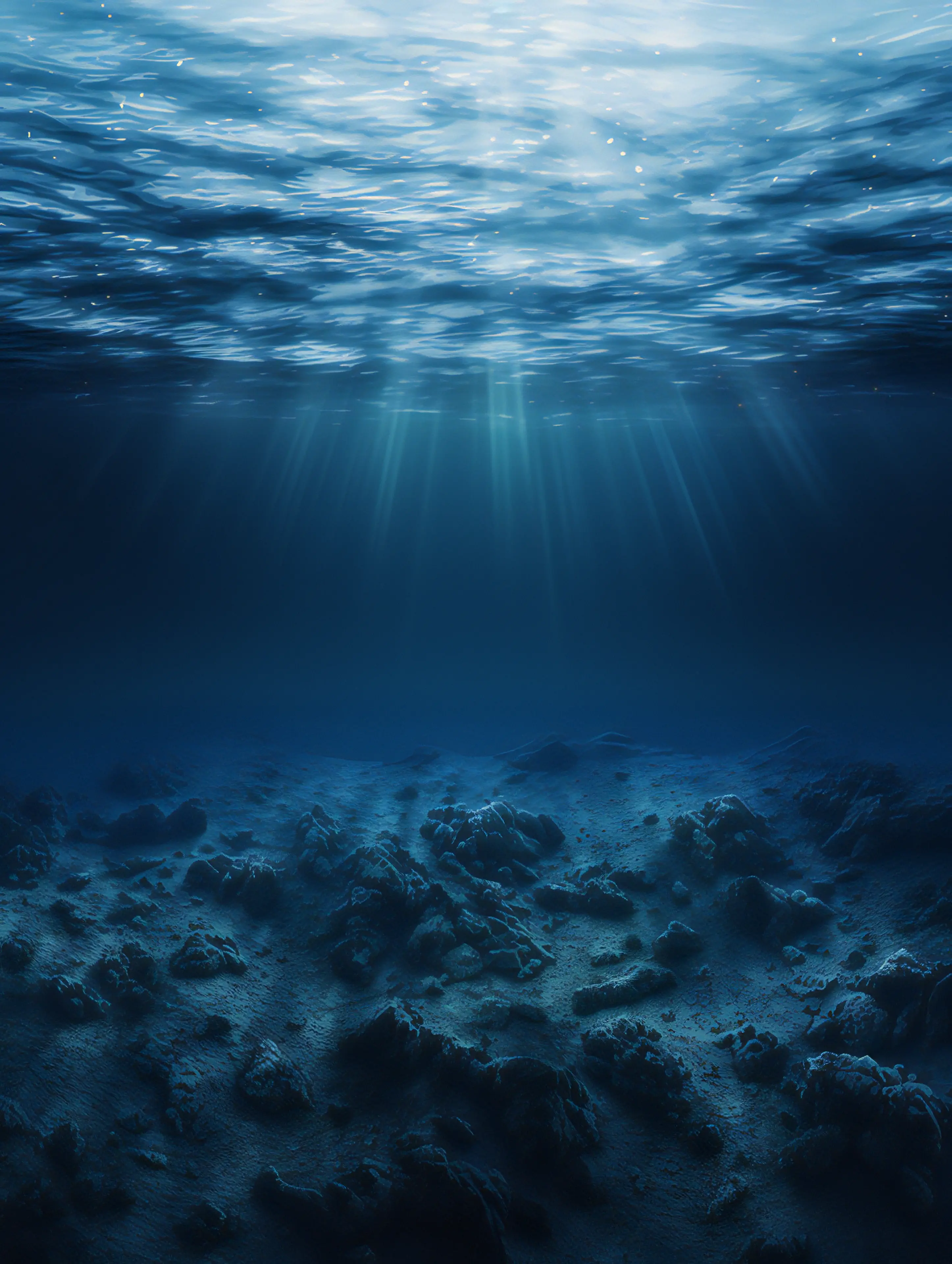 珊瑚植物海平面日光光线海底世界广告背景图片