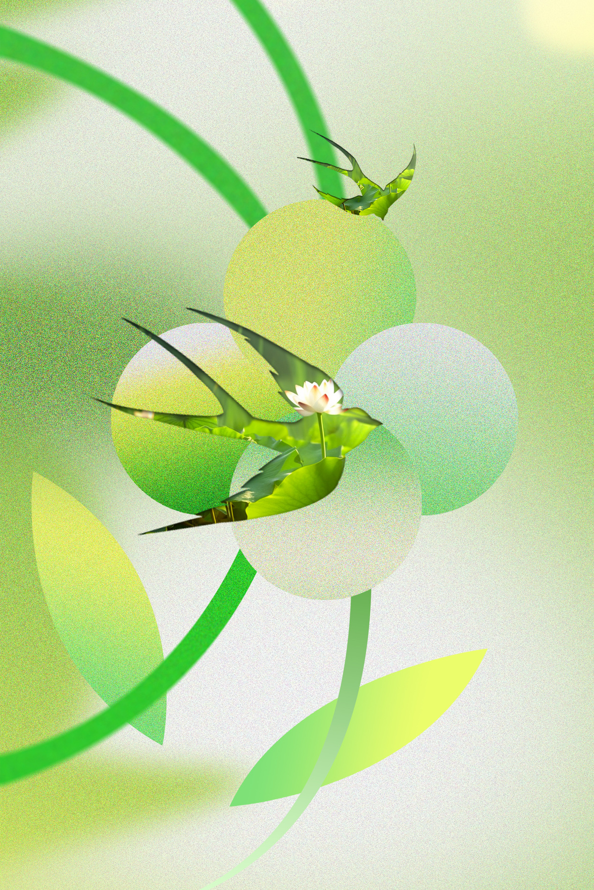 绿色弥散渐变燕子镂空摄影背景图片