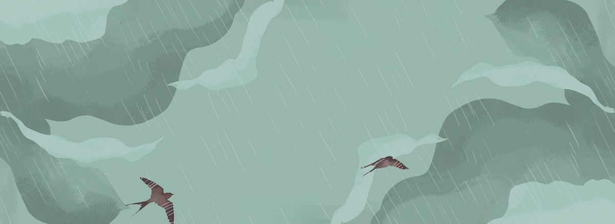 手绘海燕雨中飞翔背景图图片