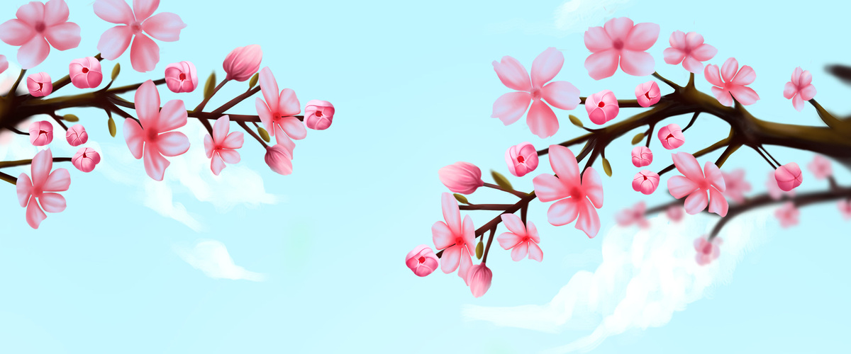 唯美浪漫中国风粉色樱花图片