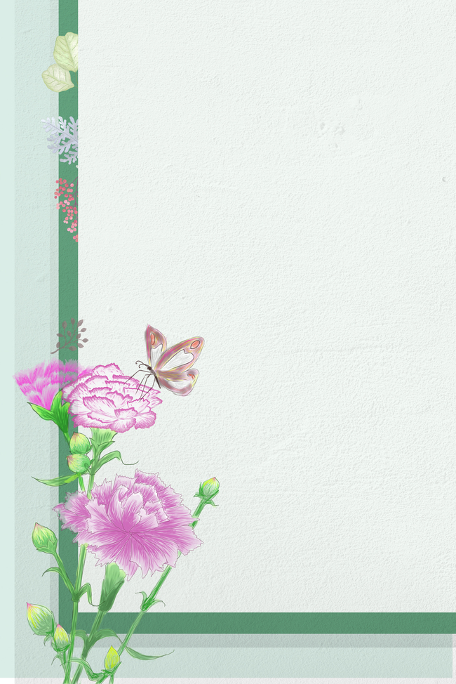 菊花蝴蝶花卉图片图片
