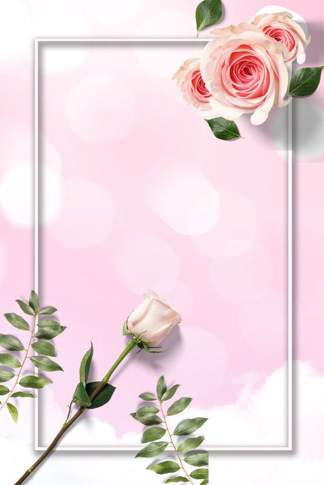 七夕粉色玫瑰花背景图片图片