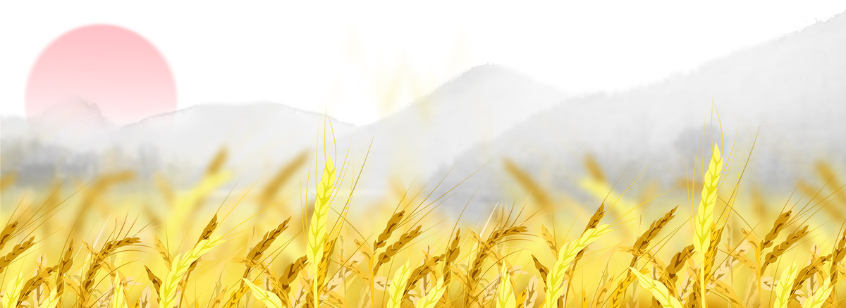 黄色小麦水墨海报背景图片