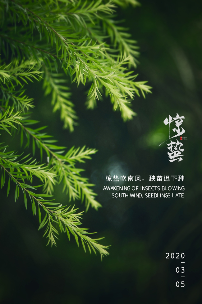 绿色树叶春天惊蛰二十四节气宣传背景图片