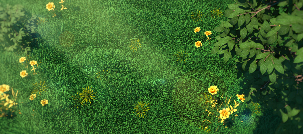 C4D绿色俯视春天草地背景图片