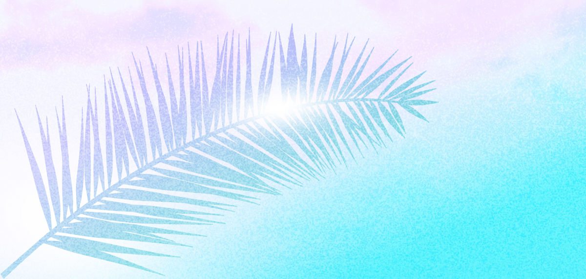 夏天清凉棕榈叶背景图片