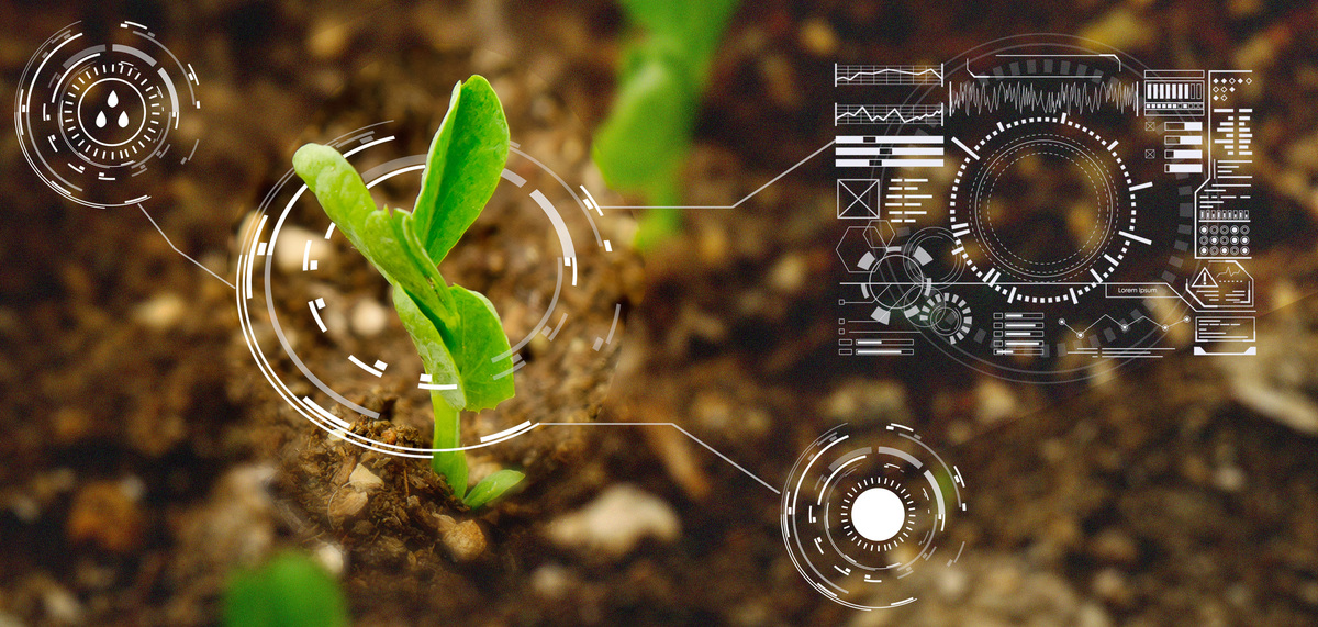 农业科技绿色合成植物背景图片