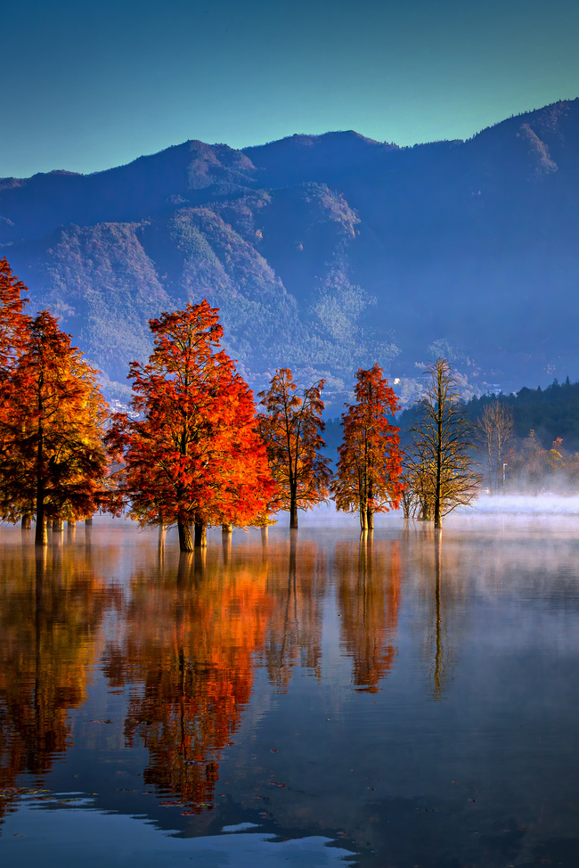 秋天风景自然摄影简约图片