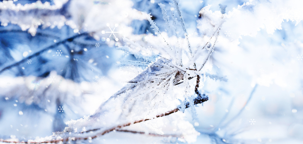 冬天霜花雪花蓝白色清新雪景背景图片