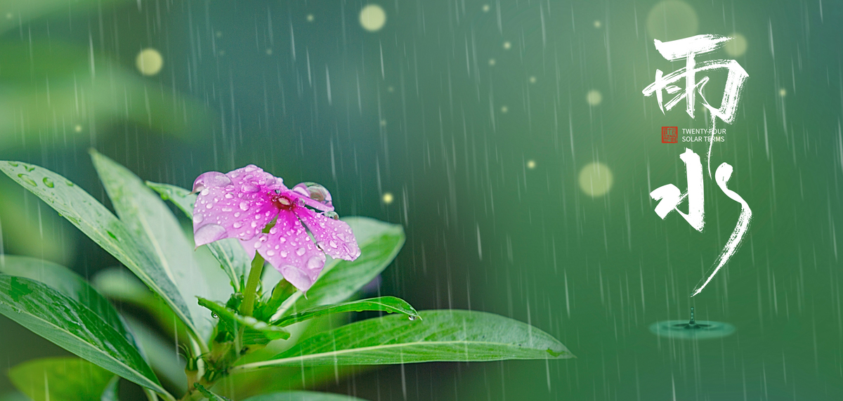 雨水节气下雨绿色简约清新背景图片