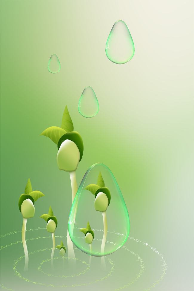 谷雨豆芽雨滴绿色酸性简约海报图片