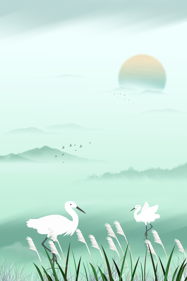 白露芦苇白鹭水墨绿古典节气背景图片
