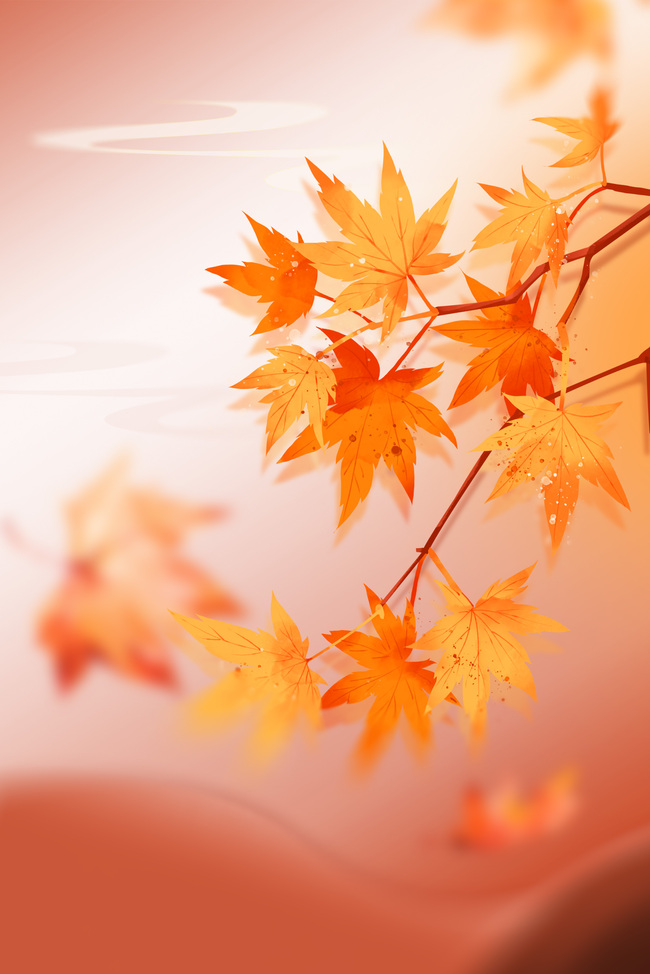 秋季秋天枫叶黄色简约背景图片