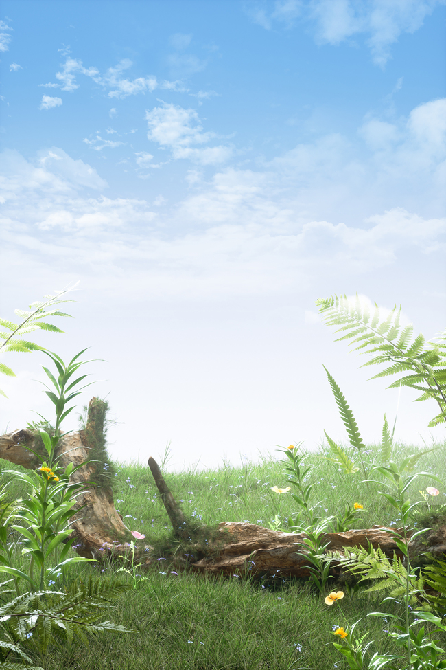 春天春季草地植物枯木绿色清新C4D展台背景图图片