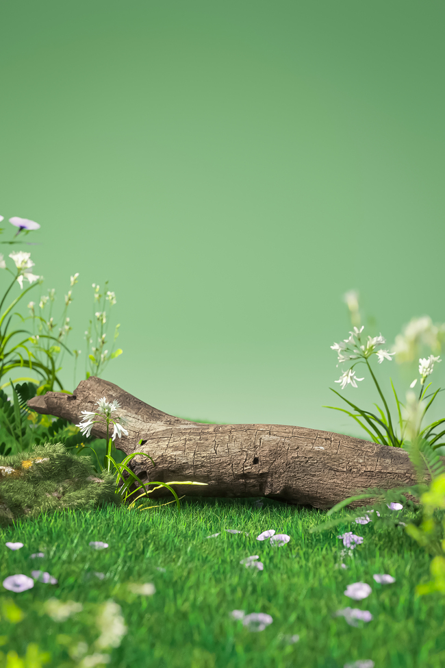 春季植物花草绿色3D立体背景仿摄影展台图片
