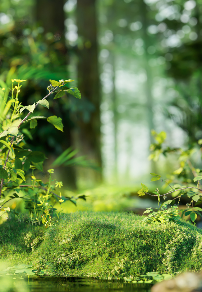 夏季植物草坪绿色3D立体背景仿摄影展台图片