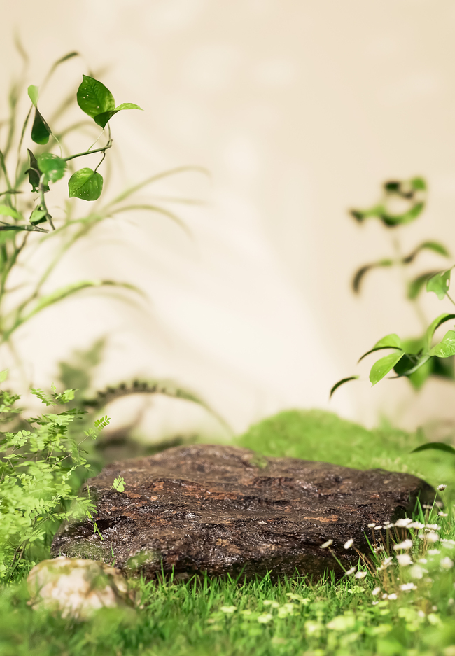 夏天植物草坪绿色3D立体背景仿摄影展台图片