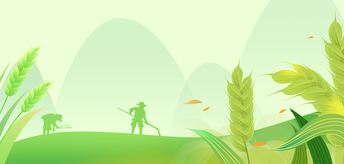 小满麦穗农民绿色扁平插画农民种地设计图图片