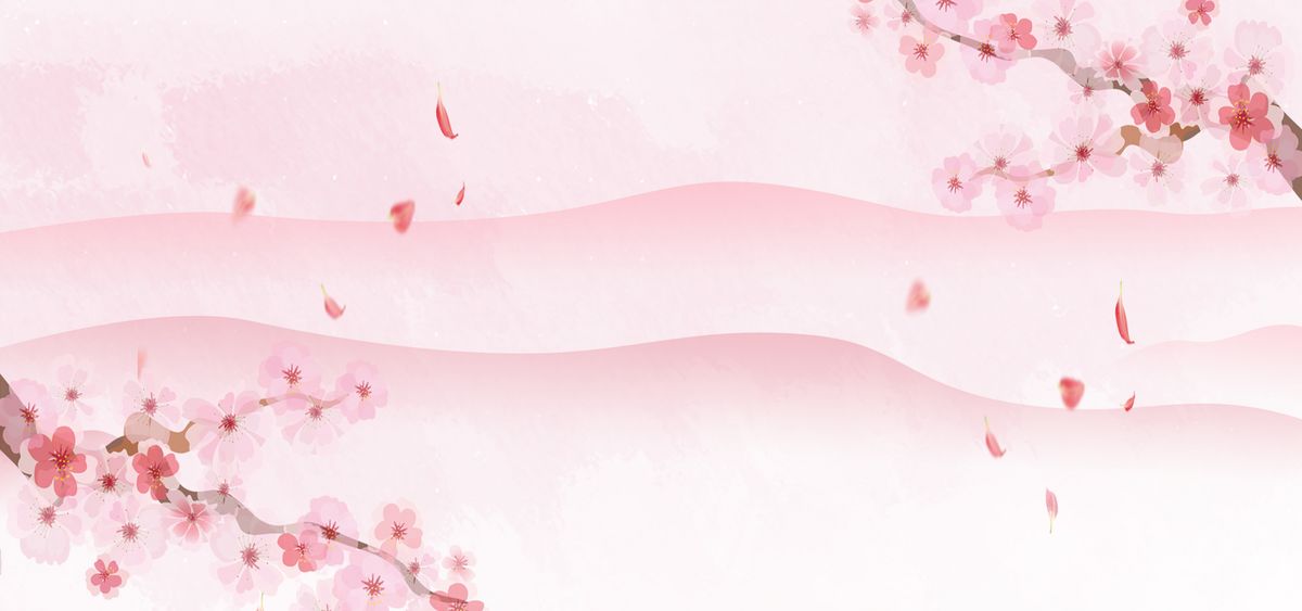 日系简约樱花主题粉色背景图图片