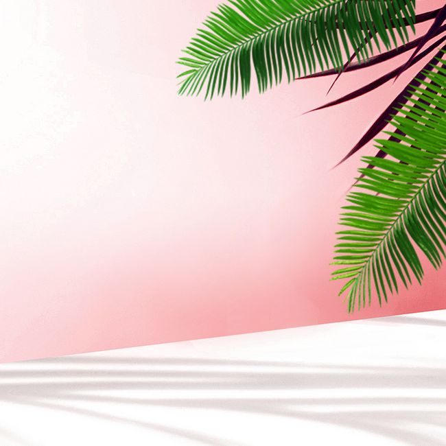简约植物粉色服装主图背景素材图片