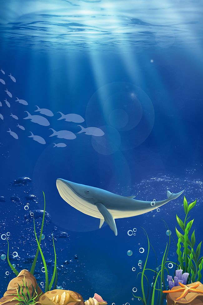 蓝色海洋动物广告设计背景图图片