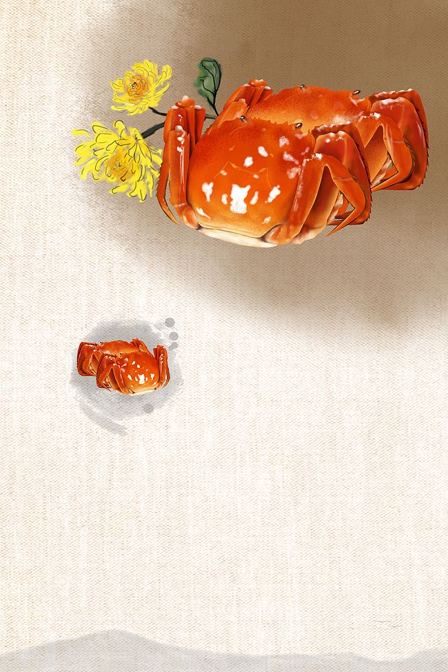 螃蟹美食展架背景素材图片