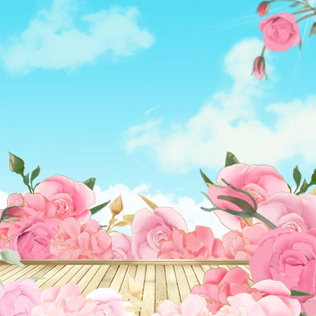 蓝天白云粉色玫瑰花丛地板唯美背景素材图片