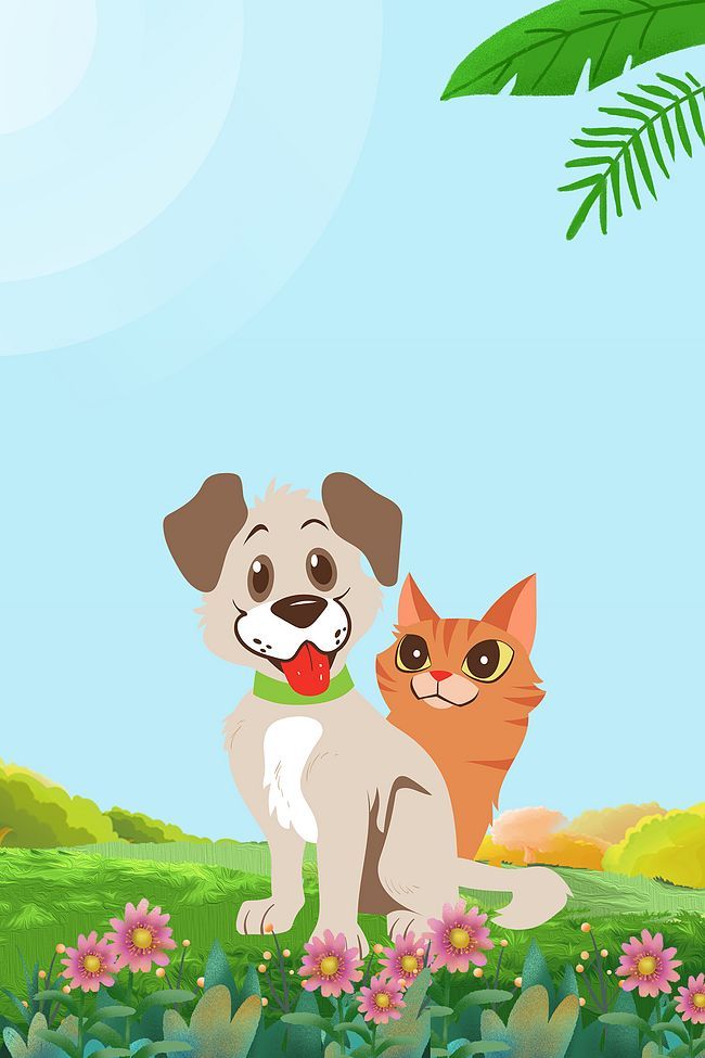 宠物宣传海报背景