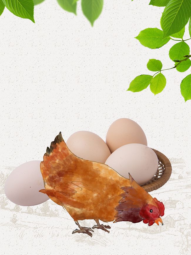 母鸡鸡蛋新鲜土鸡蛋宣传海报背景素材图片