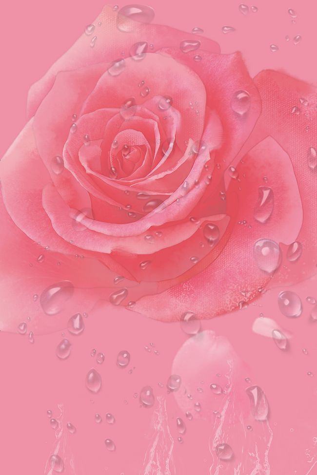 粉色玫瑰花香水PS源文件H5背景素材图片