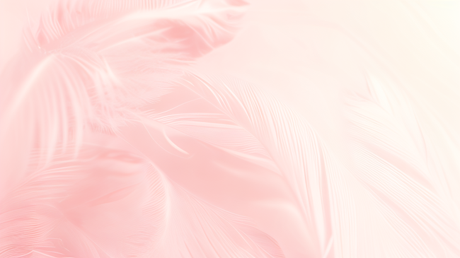 时尚粉色柔和羽毛纹理背景4图片