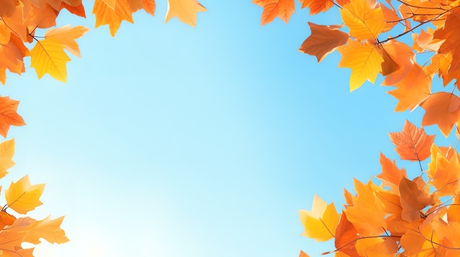 秋叶明亮的蓝天背景13图片