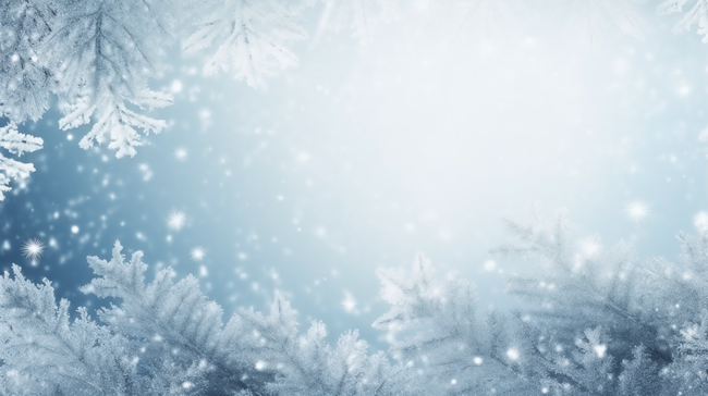 蓝色冬天松枝上的冰晶冰花雾凇背景图片