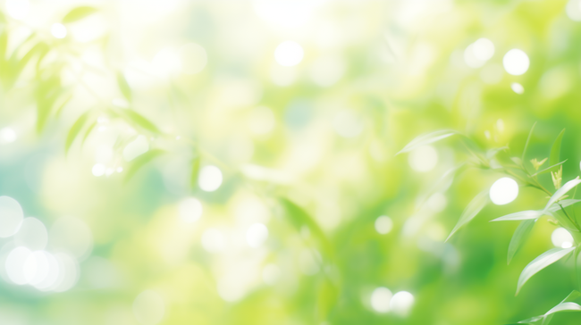 清新春季绿色枝叶光影背景图片图片