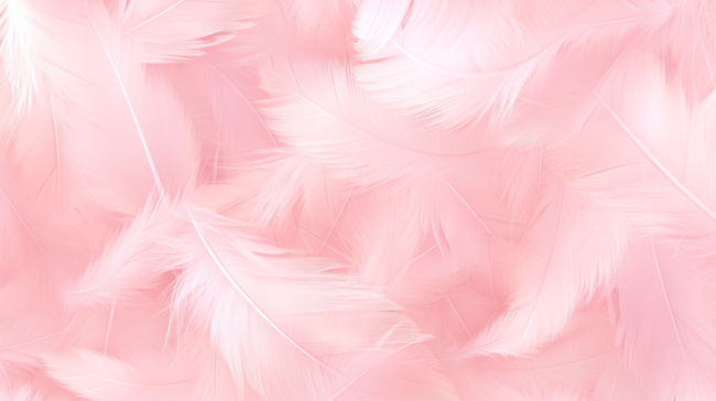 粉桃色柔软羽毛纹理背景7图片